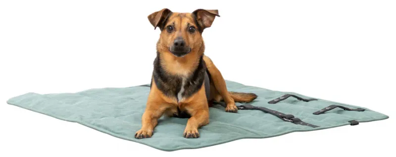 Reisedecke CityStyle